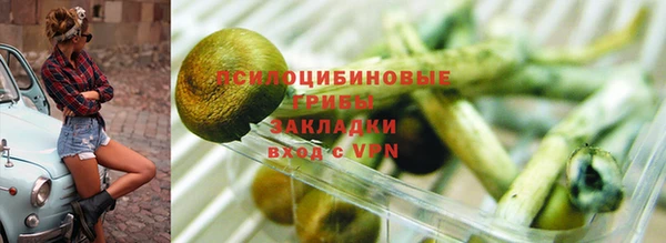 прущий лед Абаза