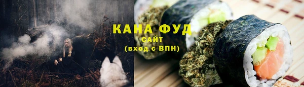 прущий лед Абаза