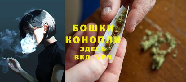 прущий лед Абаза
