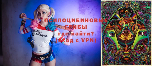 прущий лед Абаза