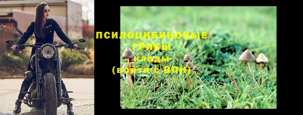 прущие грибы Волосово