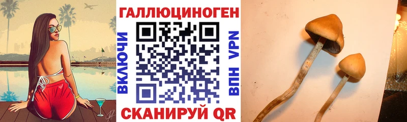 Псилоцибиновые грибы мухоморы  даркнет сайт  Нижнекамск 